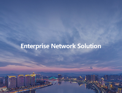 Enterprise Network S