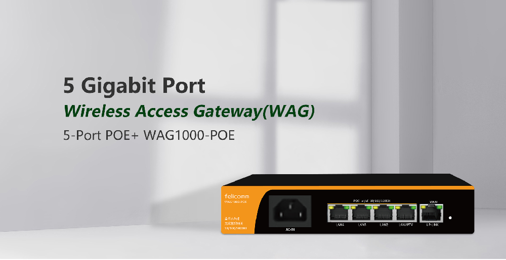 Wireless Access Gateway